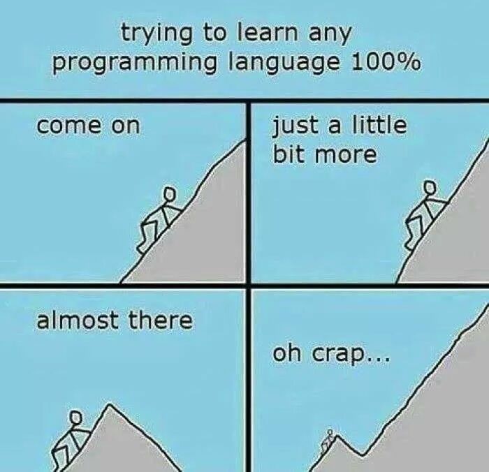 Learning a programming language